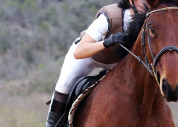 cheval