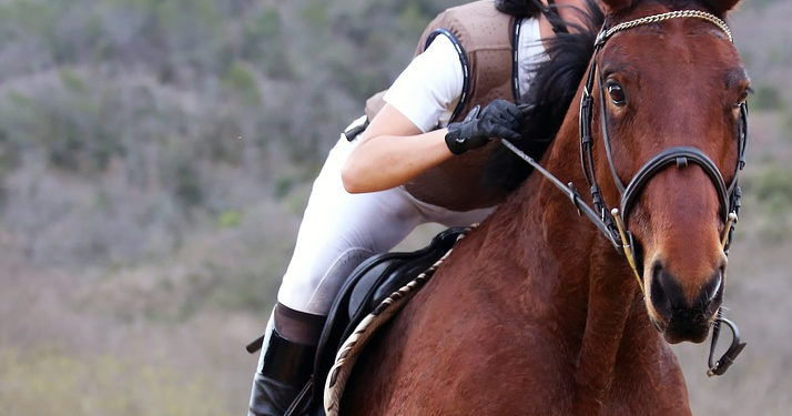 cheval