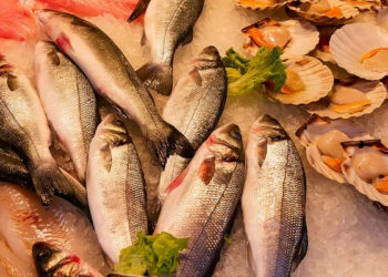 Coronavirus. PETA demande à l’OMS à faire fermer les marchés d’animaux vivants pour éviter de futures pandémies