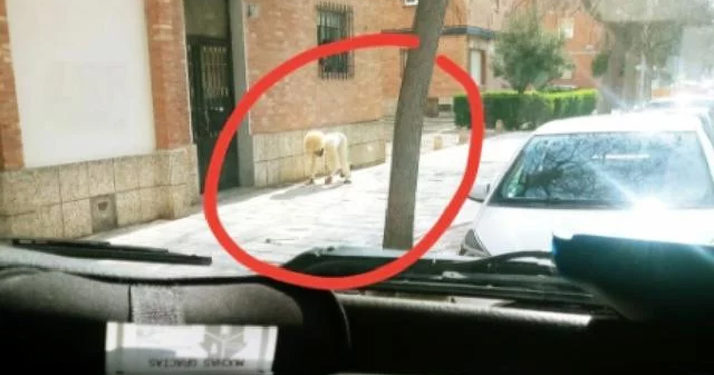 Espagne