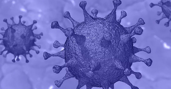 Coronavirus. 110 décès et 418 nouveaux cas en France au 20 mai