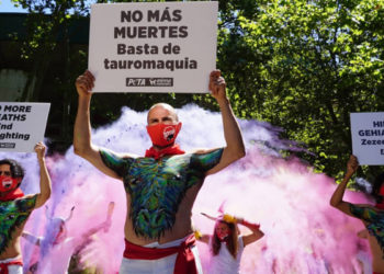 Espagne : Plusieurs militants de PETA fêtent l’annulation des corridas de Pampelune
