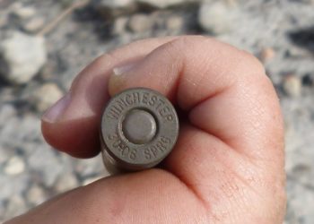États-Unis : Âgé de 3 ans, il se tire accidentellement une balle dans la tête