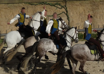 Le parc du Puy-du-Fou répond à Hugo Clément après des accusations de maltraitance contre des animaux