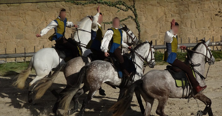 Le parc du Puy-du-Fou répond à Hugo Clément après des accusations de maltraitance contre des animaux