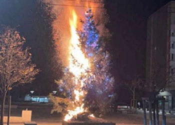 Lyon. Le sapin de Noël du 9e arrondissement incendié
