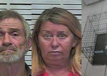 États-Unis. Des grands-parents condamnés pour avoir enfermé leur petite fille de 5 ans dans une cage pour chiens