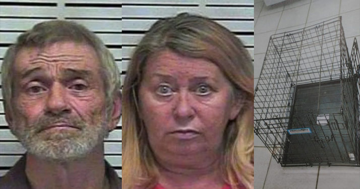 États-Unis. Des grands-parents condamnés pour avoir enfermé leur petite fille de 5 ans dans une cage pour chiens