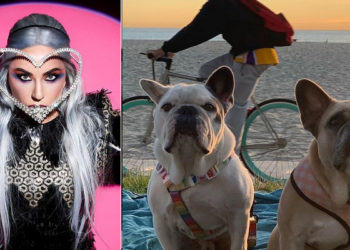 Les chiens de Lady Gaga ont été retrouvés