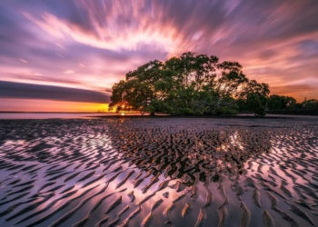 Australie : Qu’est ce qui va changer depuis la covid ?