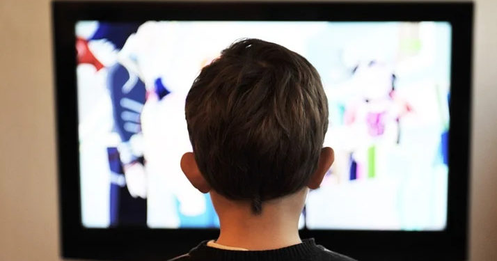 Finistère. Condamnée à six mois de prison avec sursis pour avoir laissé seul son enfant de 2 ans devant la télé pour aller en discothèque