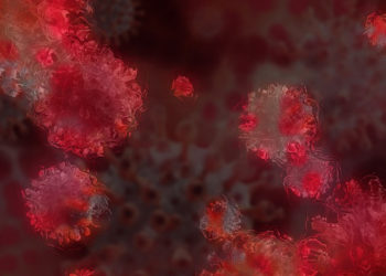 Covid-19: ce que l’on sait du variant brésilien