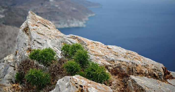 Grèce. Au cours d’une dispute, il pousse sa femme dans le vide qui fait une chute de 30 mètres avant de se noyer