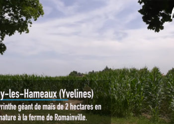 Yvelines. (Vidéo) On a testé le labyrinthe de maïs géant à la ferme de Romainville