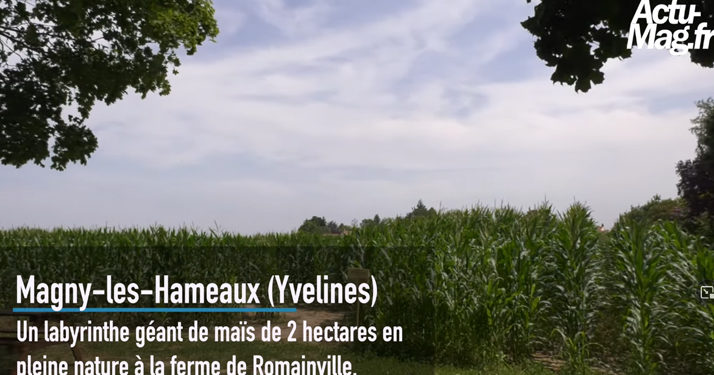 Yvelines. (Vidéo) On a testé le labyrinthe de maïs géant à la ferme de Romainville
