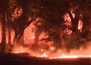 Var. Un important incendie en cours a détruit 5000 hectares de forêt