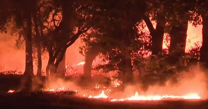 Var. Un important incendie en cours a détruit 5000 hectares de forêt