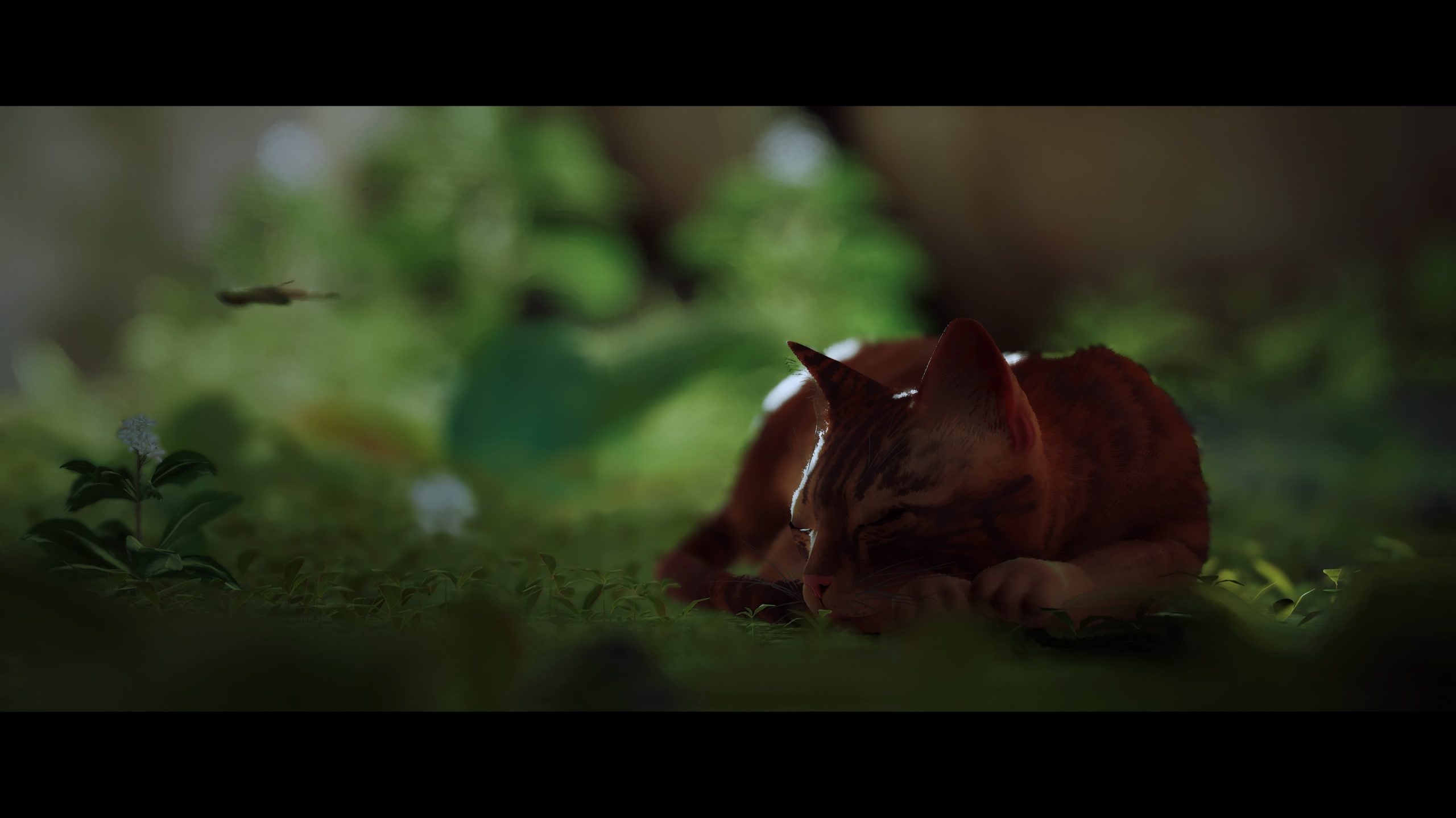 Stray - Test Actu-Mag.fr