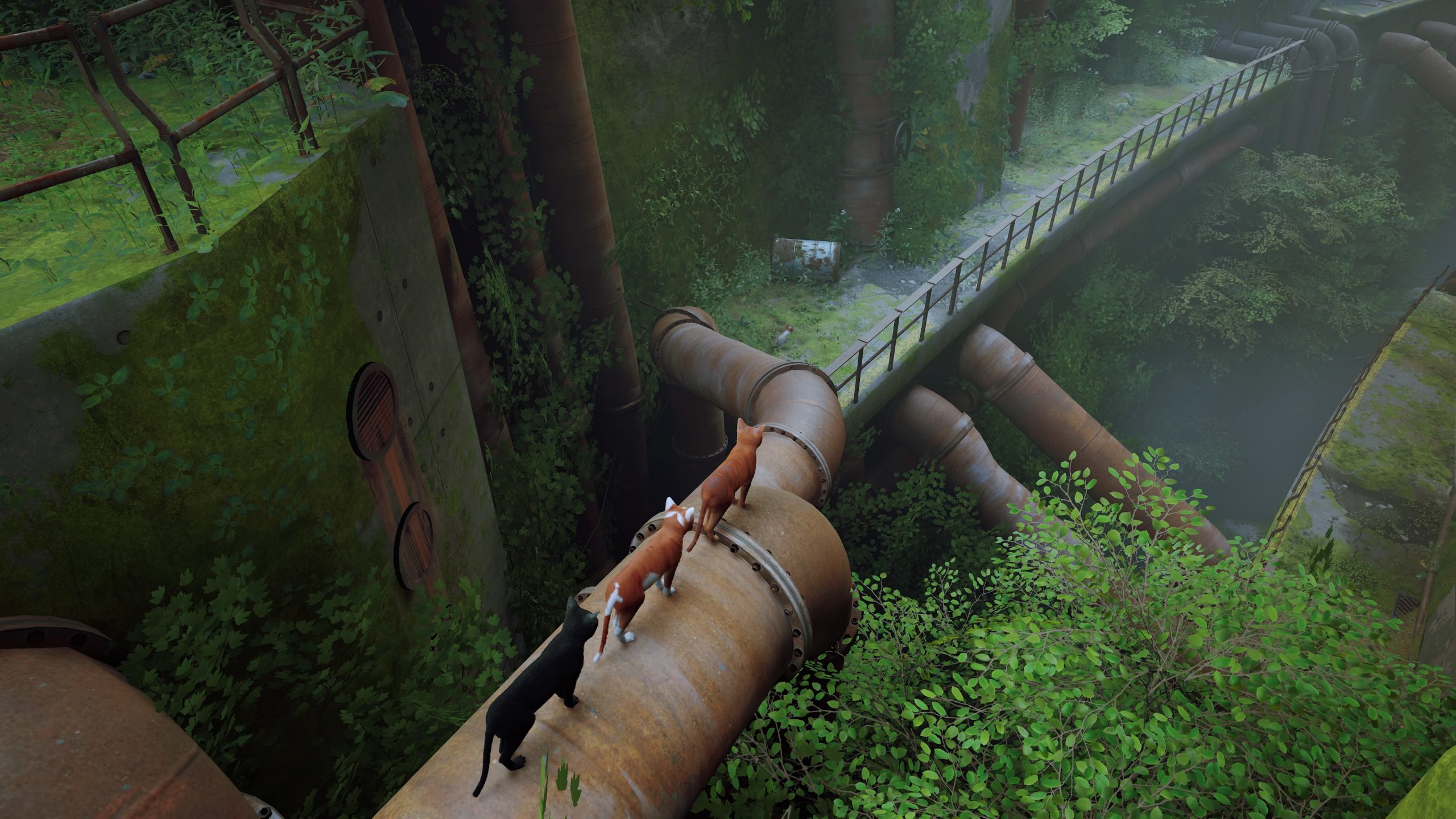 Stray - Test Actu-Mag.fr