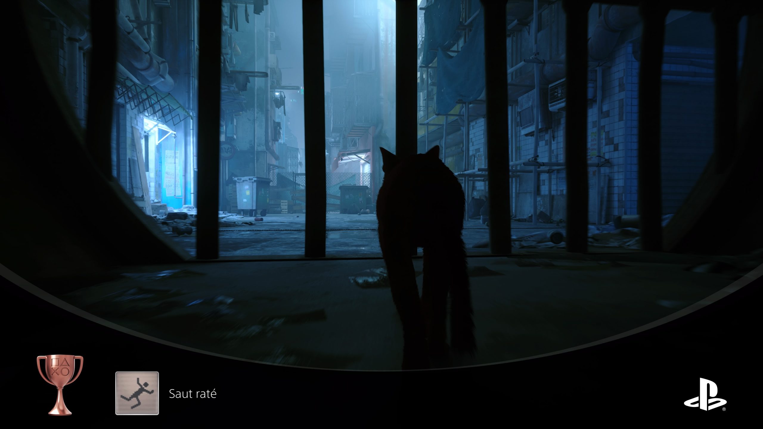 Stray - Test Actu-Mag.fr