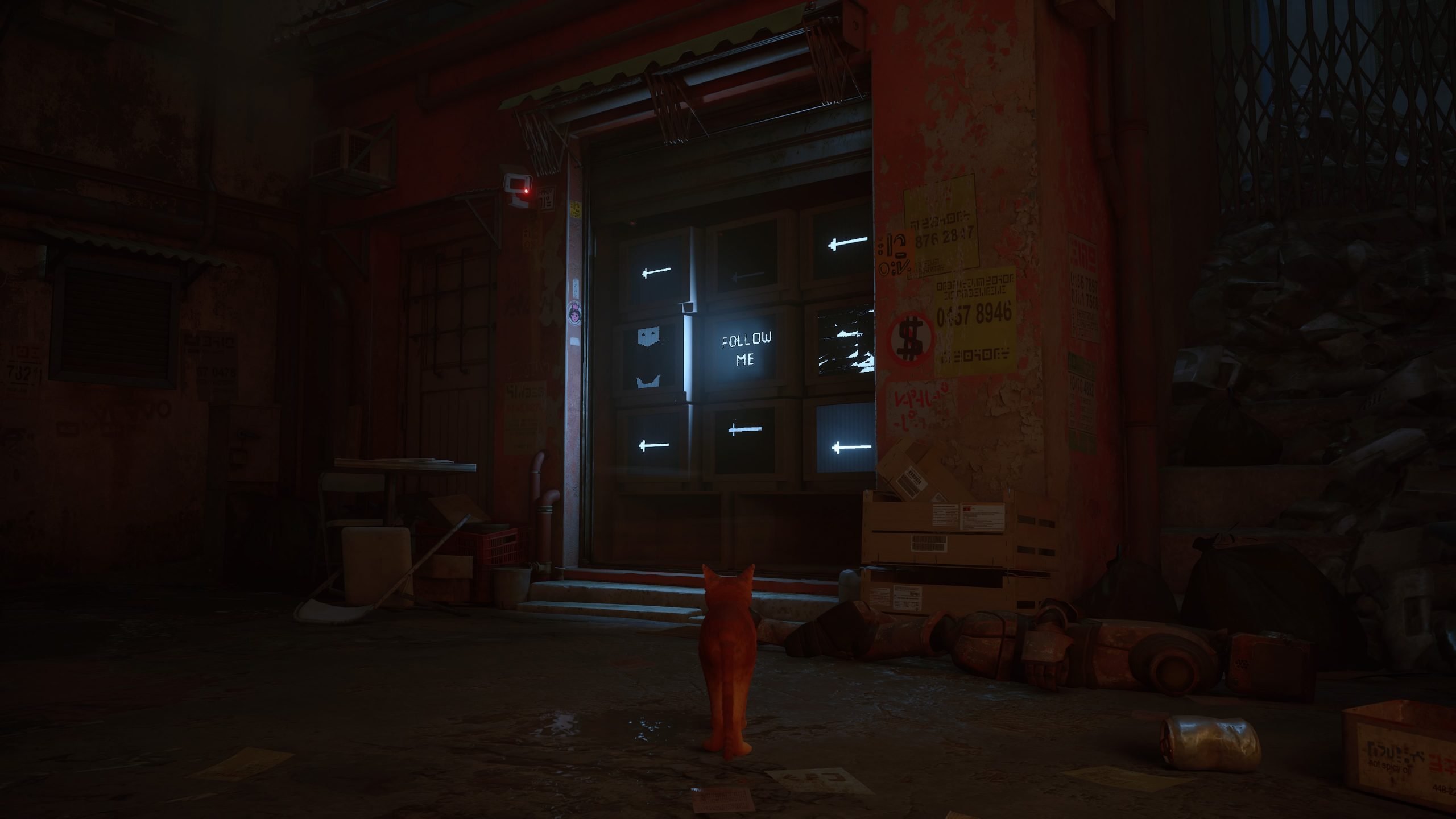 Stray - Test Actu-Mag.fr