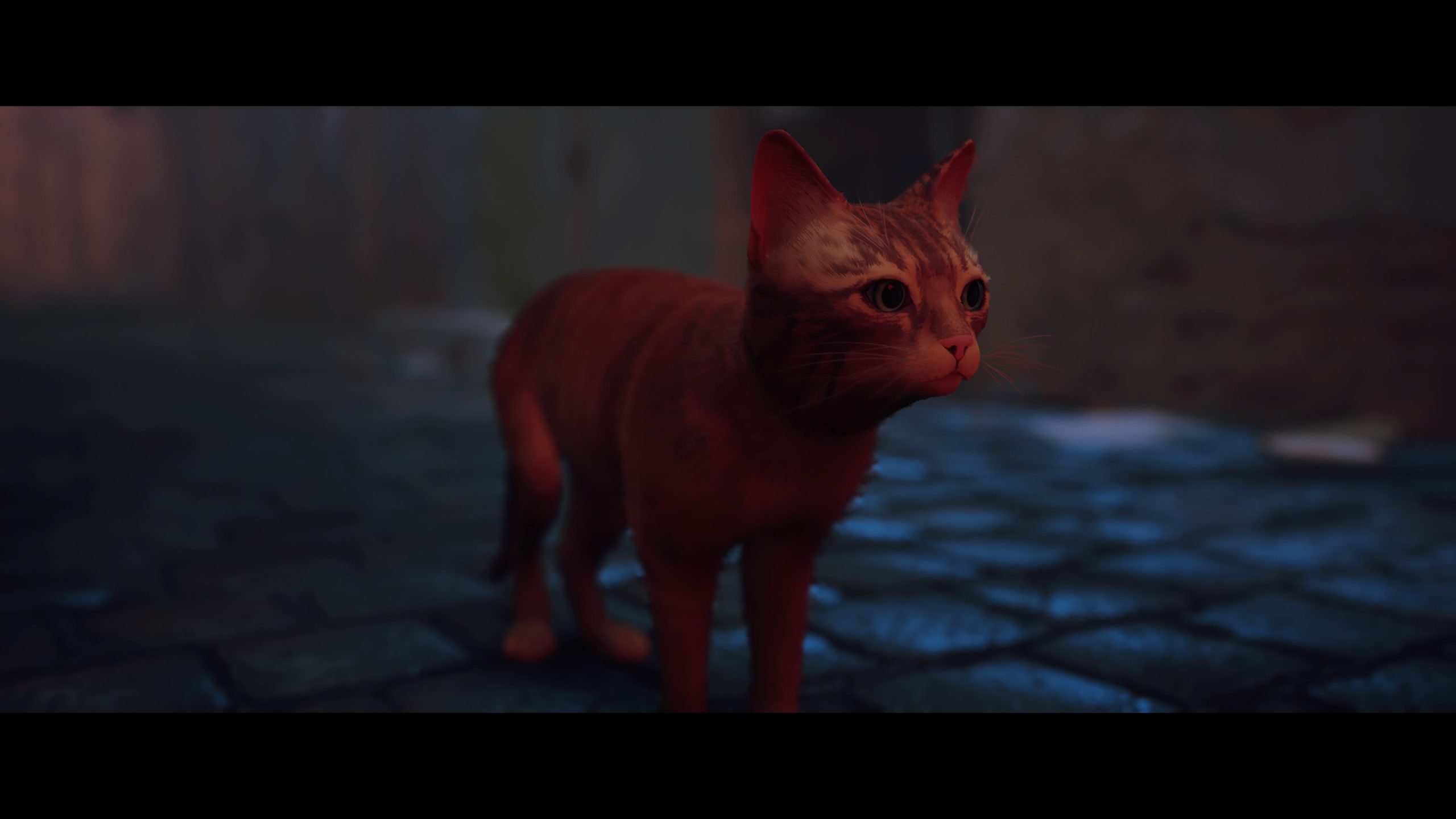 Stray - Test Actu-Mag.fr