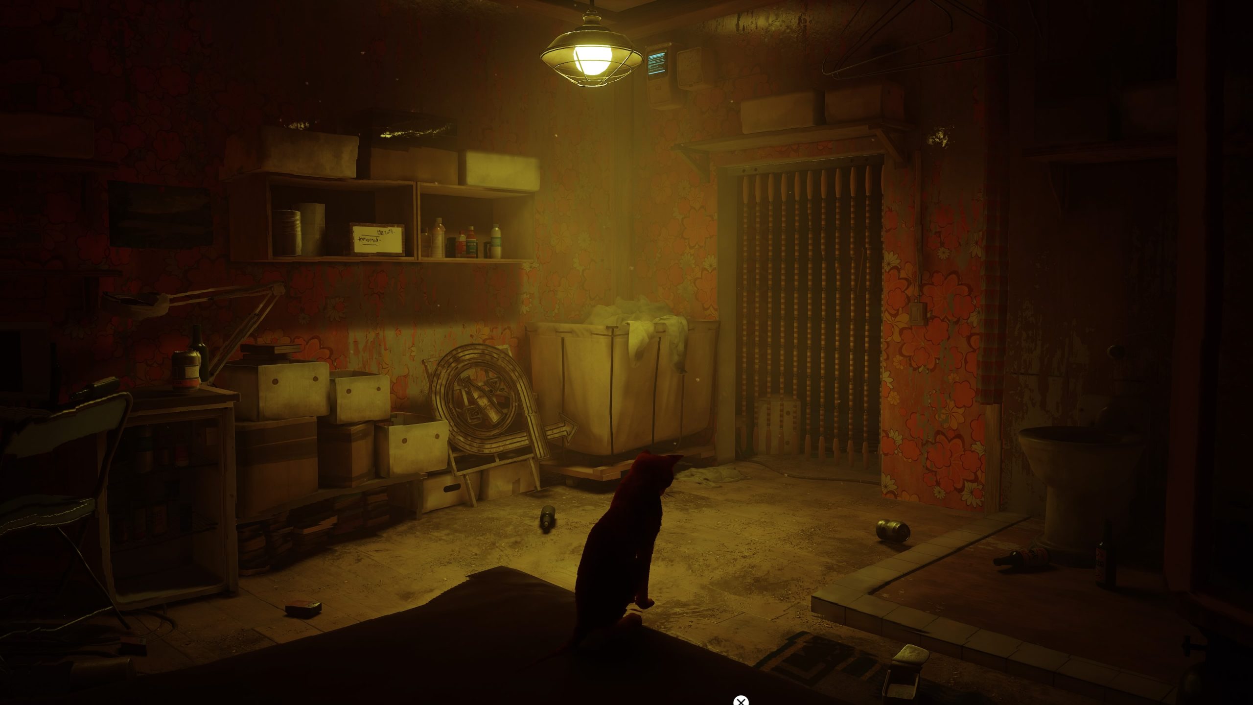 Stray - Test Actu-Mag.fr