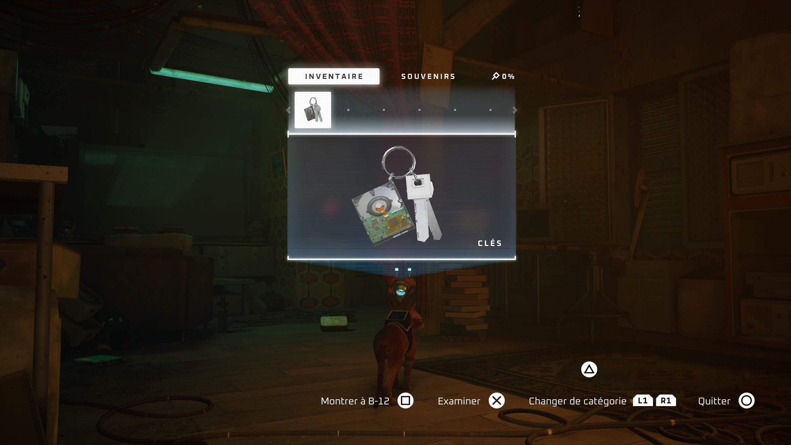 Stray - Test Actu-Mag.fr