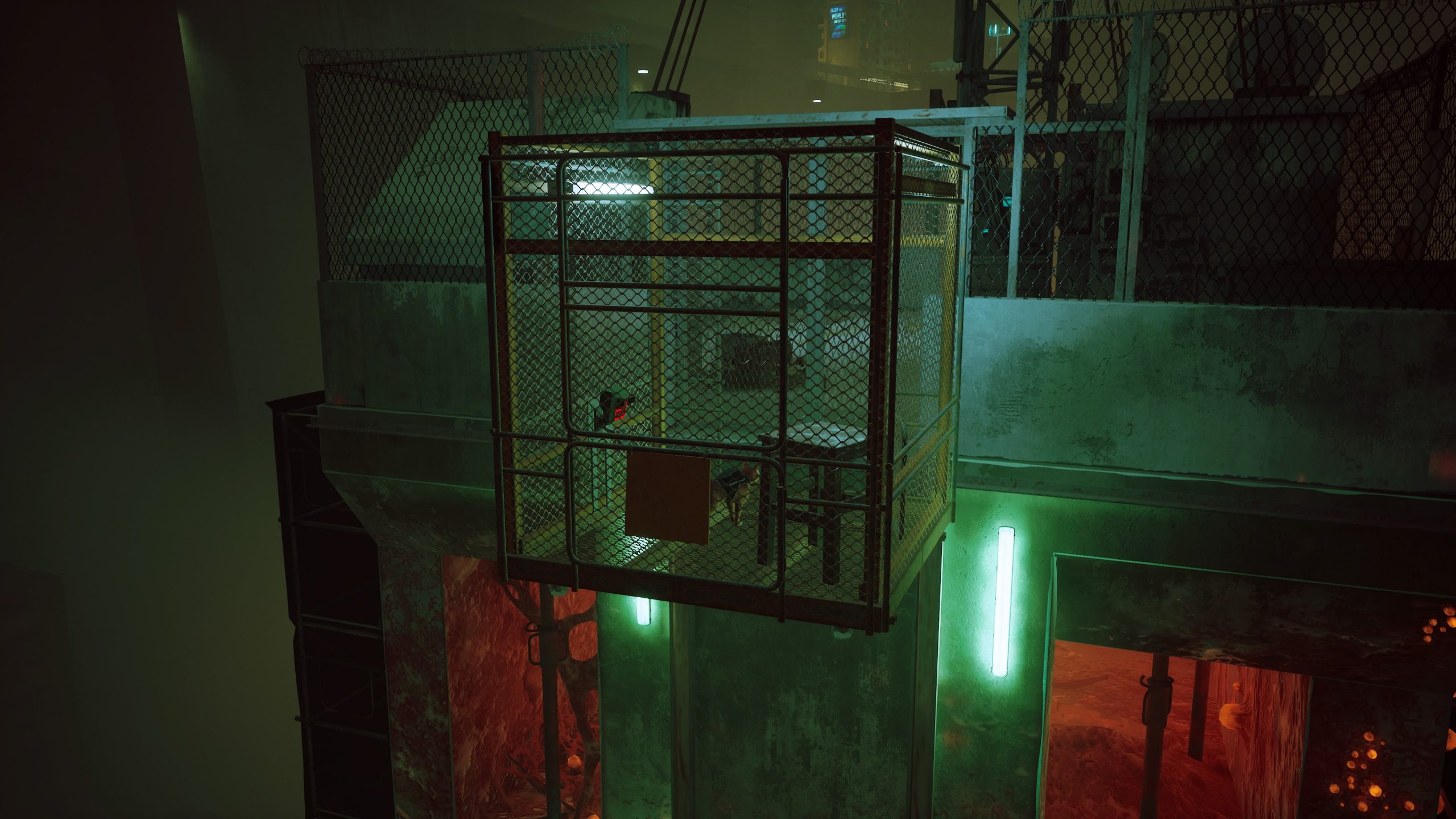 Stray - Test Actu-Mag.fr
