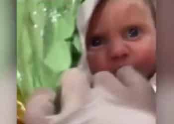 bébé