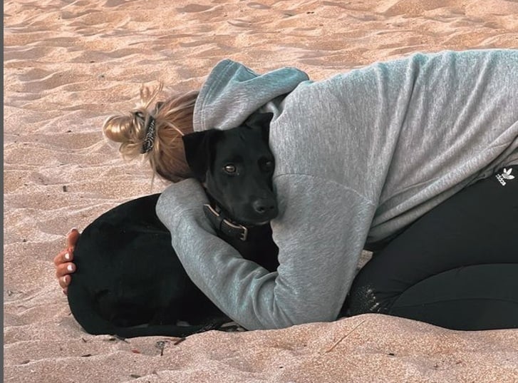 Une touriste recherche sa petite chienne disparue à Roissy après l&rsquo;ouverture de sa cage pendant l&rsquo;atterrissage d&rsquo;un avion