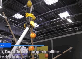 Foire de Paris 2025 : Le Girafruit, l’outil qui simplifie la cueillette des fruits
