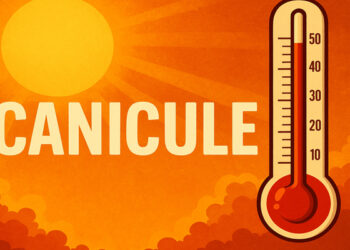 canicule