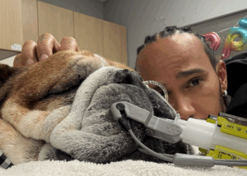 Le pilote Lewis Hamilton aux côtés de son chien gravement malade