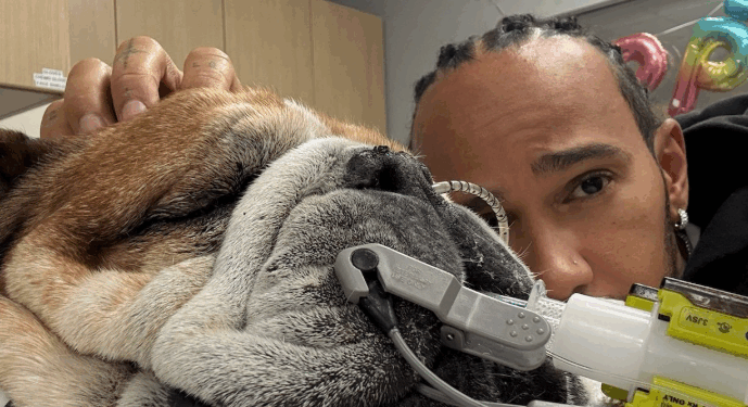 Le pilote Lewis Hamilton aux côtés de son chien gravement malade