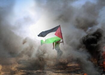 Les hôpitaux de Gaza « au bord de l’effondrement », alerte le directeur général de l’OMS