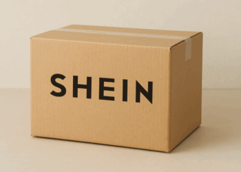 « Poupées sexuelles à l’apparence enfantine : Shein visé par une enquête et menacé d’un bannissement en France »