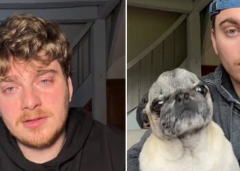 Kidnapping du chien « Albert » : l’influenceur Cyril Schreiner lance un appel déchirant à l’aide