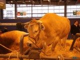 49 EME SALON INTERNATIONAL DE L AGRICULTURE 1
