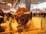 49 EME SALON INTERNATIONAL DE L AGRICULTURE 2