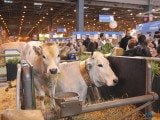 49 EME SALON INTERNATIONAL DE L AGRICULTURE 3