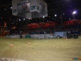 49 EME SALON INTERNATIONAL DE L AGRICULTURE 12