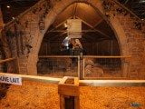 49 EME SALON INTERNATIONAL DE L AGRICULTURE 61