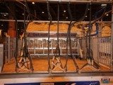 49 EME SALON INTERNATIONAL DE L AGRICULTURE 65