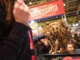 49 EME SALON INTERNATIONAL DE L AGRICULTURE 103