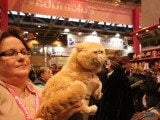 49 EME SALON INTERNATIONAL DE L AGRICULTURE 124