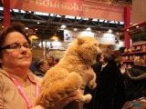 49 EME SALON INTERNATIONAL DE L AGRICULTURE 125