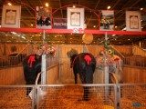 49 EME SALON INTERNATIONAL DE L AGRICULTURE 143