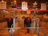 49 EME SALON INTERNATIONAL DE L AGRICULTURE 144