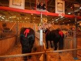 49 EME SALON INTERNATIONAL DE L AGRICULTURE 147